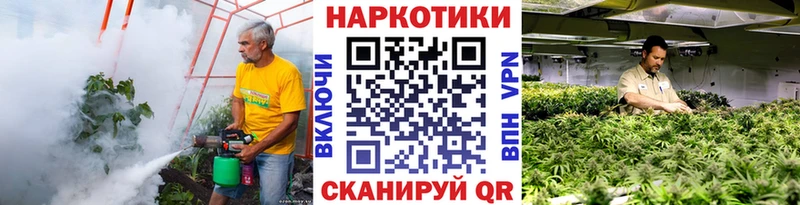 Продажа наркотиков Чебаркуль Псилоцибиновые грибы  МЕФ  ГАШ 