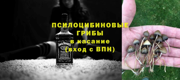 твердый Абаза