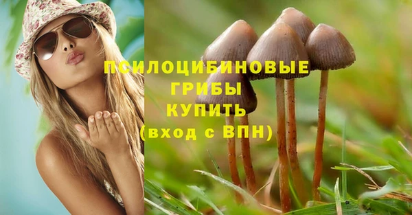 твердый Абаза